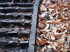 -上海佘山国家森林公园天马山园