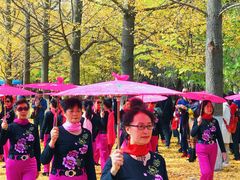 -辽东学院(南校区)