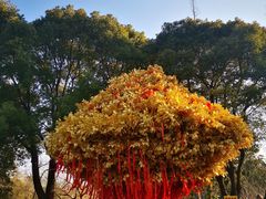 -狼山风景名胜区