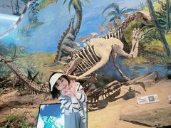 -自贡恐龙博物馆