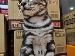 -中国石化江苏南京湖西街加油站