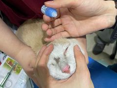 -瑞派申生动物医院·24H夜诊·国际动物医疗中心·骨外科(吴中路店)