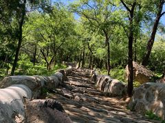 -阳台山自然风景区