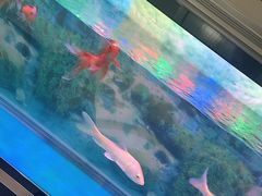 -御亭宫·SPA.按摩足疗头疗养生馆