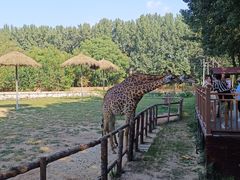 -北京野生动物园