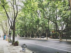 -也枫·小黄楼(南山路旗舰店)