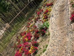 -合肥滨湖国家森林公园