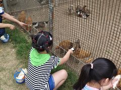 -前小桔亲子创意农场·草莓采摘·露营烧烤