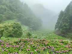 -鼓岭旅游度假区