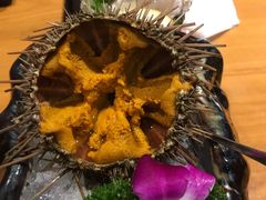 -吉之仙•中国制造•出口级食材日料店(领事馆总店)