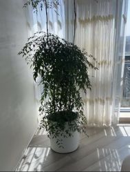 -HEYAN荷妍专业脱毛连锁机构