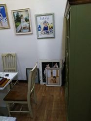 -星豆豆儿童摄影(南郊太白南路店)