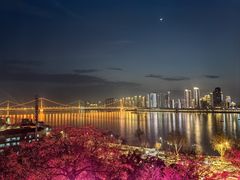 -武汉长江大桥