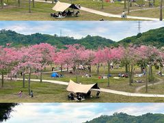 -风云岭森林公园