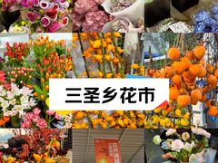 -三圣花乡旅游区