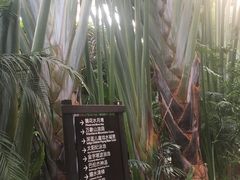 -龙达温泉生态城