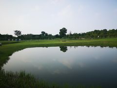 -滆湖低碳生态公园
