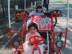 -永定河休闲森林公园