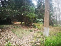 -呼吸森林·生态农庄农家乐私房菜