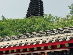 -高尔山公园