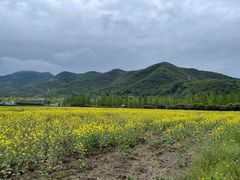 -藏龙百瀑风景区