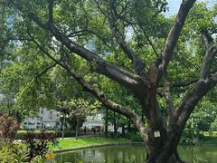 -晓港公园