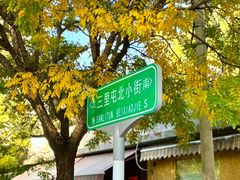 -三里屯东五街银杏大道