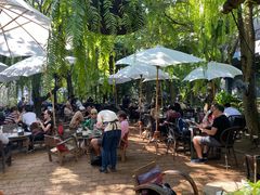 -Fern Forest Cafe