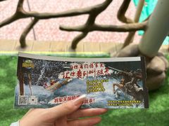 -将军关探险漂流