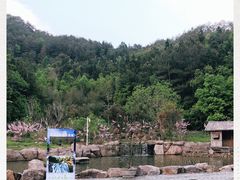 -梁野山景区