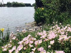 -太湖湖滨国家湿地公园-停车场