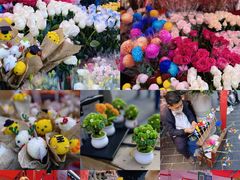 -越秀西湖花市(广州城市广场花卉店)
