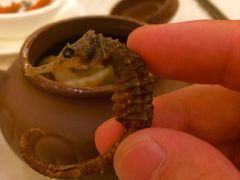 iphone_upload_pic-西安长征华美达酒店