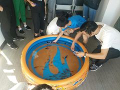 -樱花国际日语(徐家汇中心)