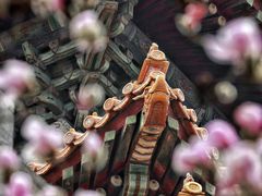 -东华门大街小区