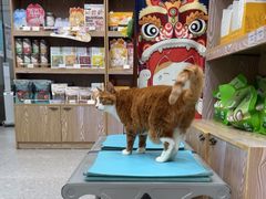-四月宠物医院·猫专科·心脏专科·内科(转塘店)