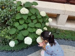 -古韵轩·江浙融合菜(梁溪店)