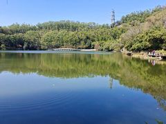 -深圳仙湖植物园