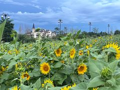 -云漫湖生态度假公园