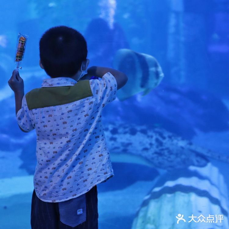 溜娃好去处｜🐠正佳极地海洋世界好玩又好睇