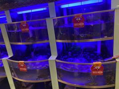 水产区-七欣天(浦东羽山乐坊店)