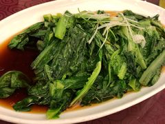 广式油麦菜-淮上豆府(水厂路店)