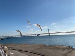 -星海广场