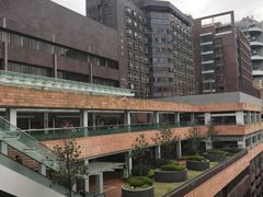 -香港大学