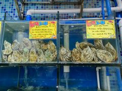 -蚝专家(北滘店)
