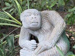 -奥兰多迪士尼动物王国乐园