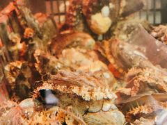 -臻鲜燕海鲜融合餐厅(金陵style店)