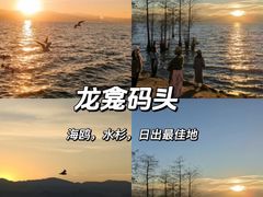 -大理.老字号渝记酸萝卜乌鱼(古城总店)