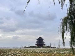 -阳澄湖半岛旅游度假区