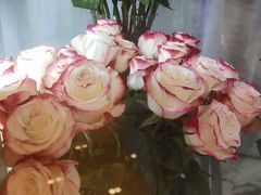 -ROSEONLY诺誓(国际广场购物中心店)